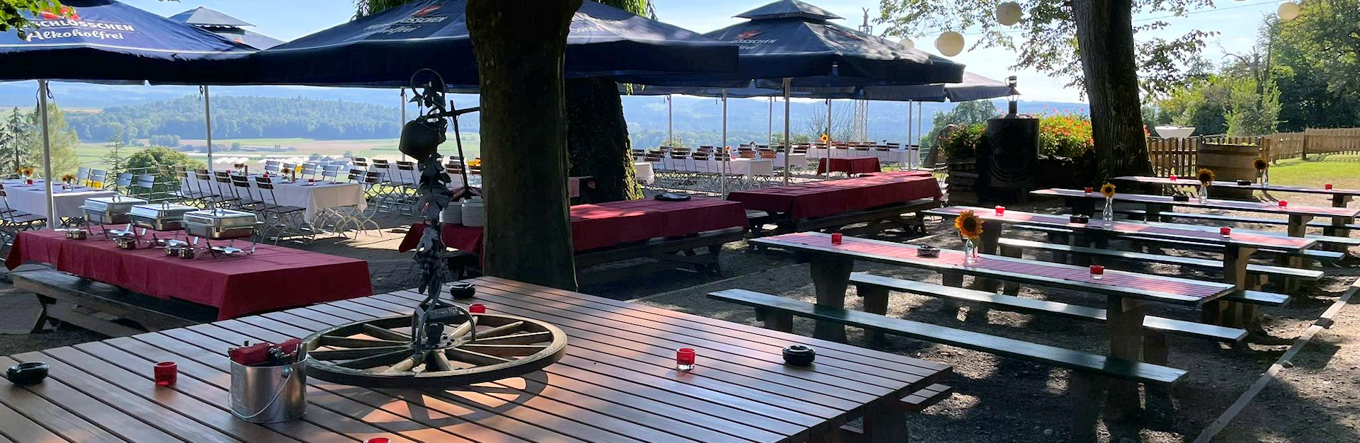 Gasthaus Guggere, 8463 Benken im Zürcher Weinland, Aussicht auf die Voralpen