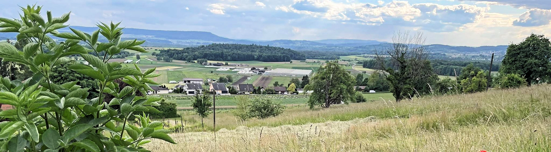 Aussicht ins Zürcher Weinland vom Gasthaus "GUGGERE"